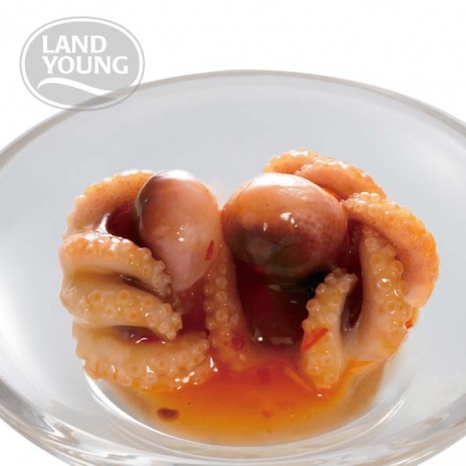 Chinese kleine octopus